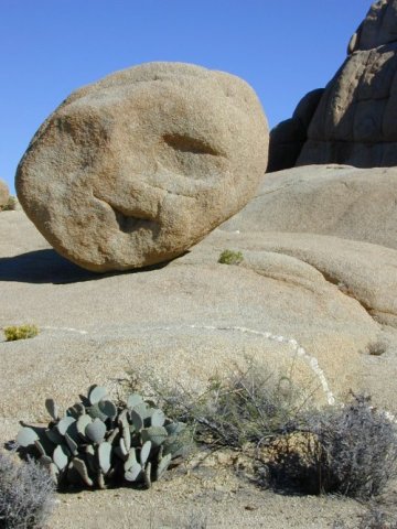 Joshua Tree: Jumbo Rocks