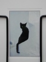 Gordes: prentkaart met kat