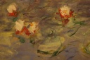 Claude Monet: Les Nymph�as