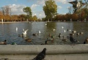 Jardin des Tuileries