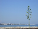 Cagnes-sur-Mer