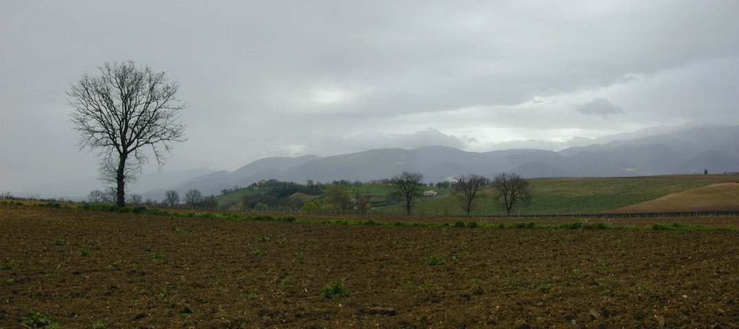 Tussen Montefalco en Spoleto