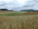 Landschap tussen Vougeot en Pnt de Pany