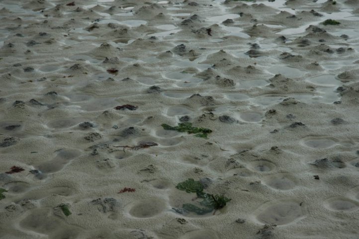 Strand van Louannec