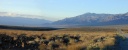 Owens Lake