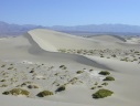 Death Valley: Mesquite Dunes