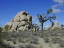 Joshua Tree: Hidden Valley