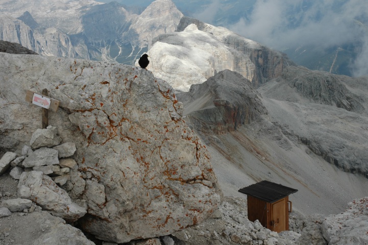 Op Piz Bo� (3152m)