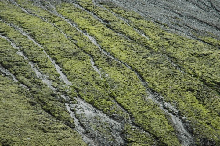 Flank van Blahnukur