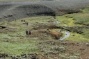 Kidagilkloof