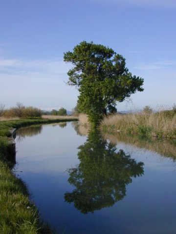Canal de la Robine
