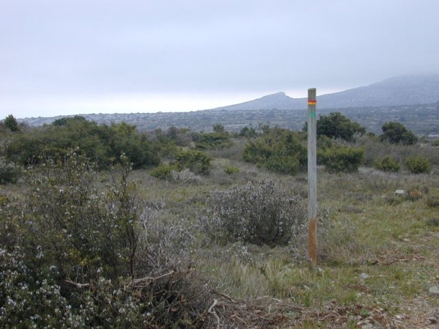 Gr�s de la Ginestrelle