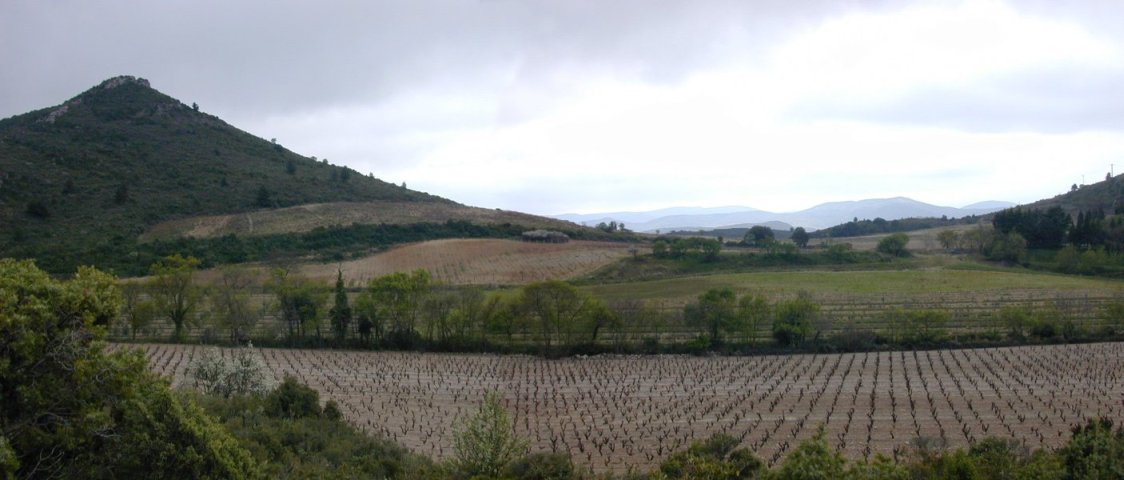 Mandourelle