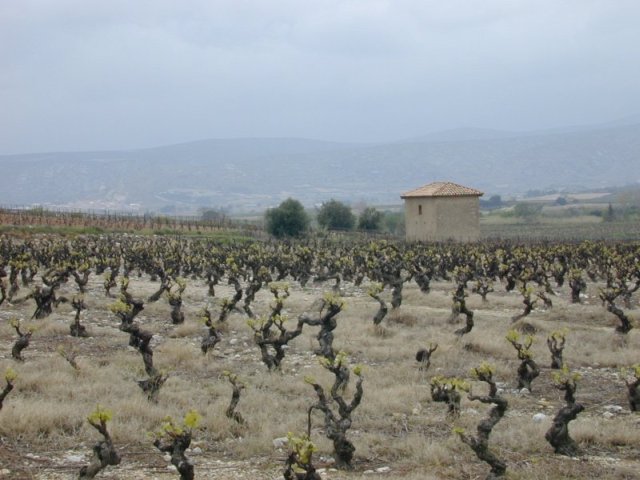 Nabij Ch�teau d'Aguilar