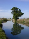Canal de la Robine
