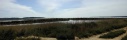 alins en Etang de l'Ayrolle