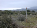 Gr�s de la Ginestrelle
