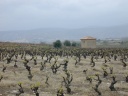 Nabij Ch�teau d'Aguilar