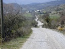 Schapen nabij Cubi�res-sur-Cinoble