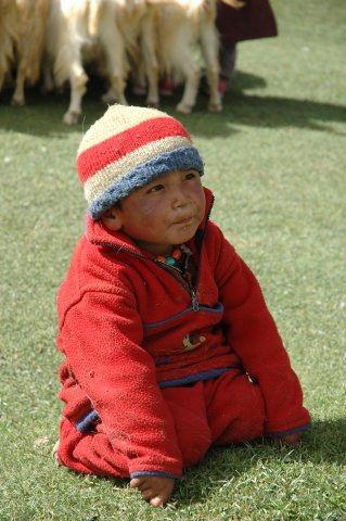 In de buurt van Tso Kar