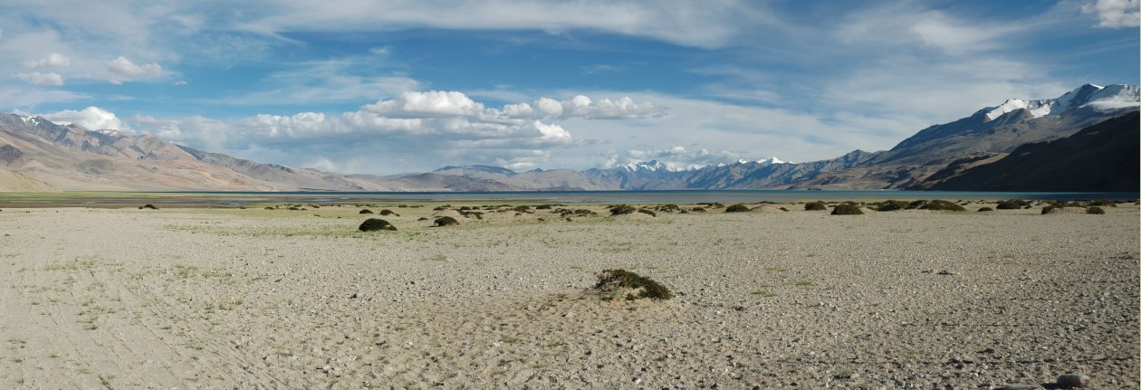 Tso Moriri