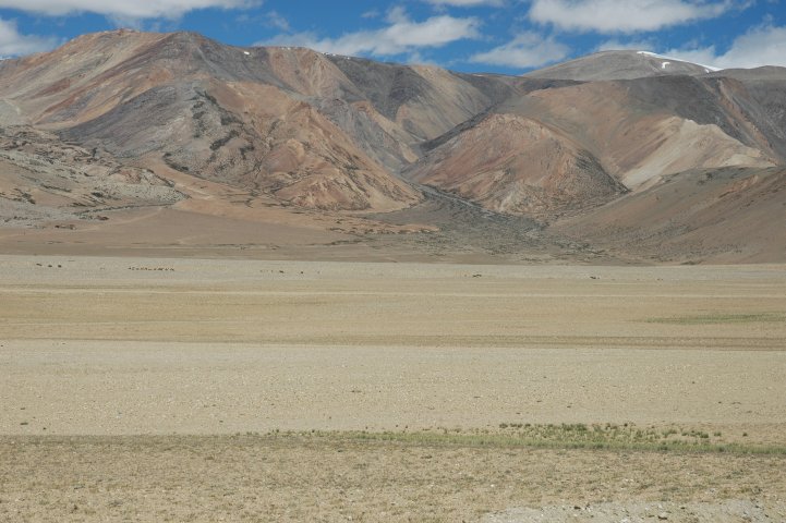 Landschap nabij Tso Moriri