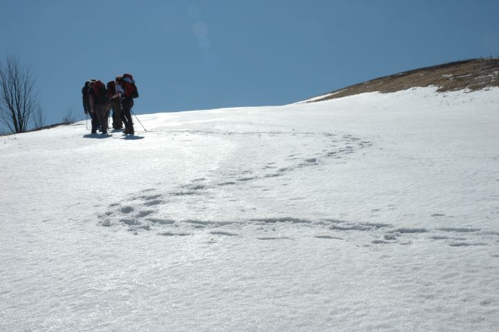 Van Passo del Brallo naar Campannette di Pej