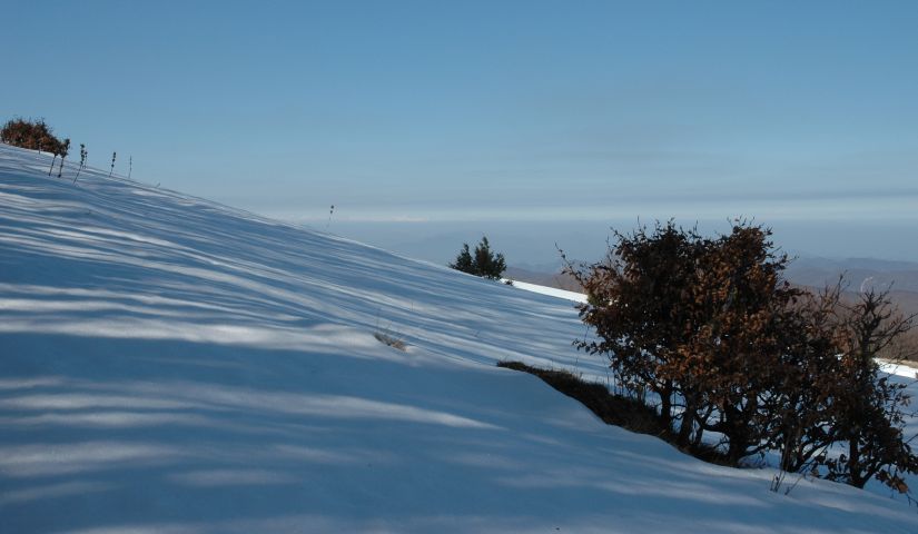Van Campannette di Pej naar Torriglia