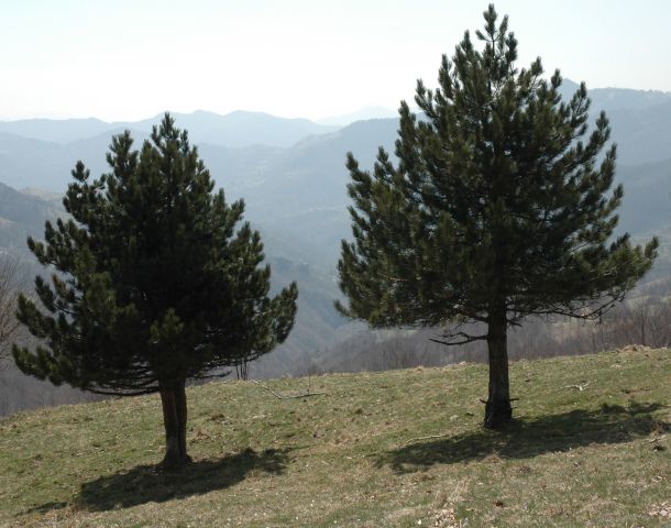 Van Campannette di Pej naar Torriglia