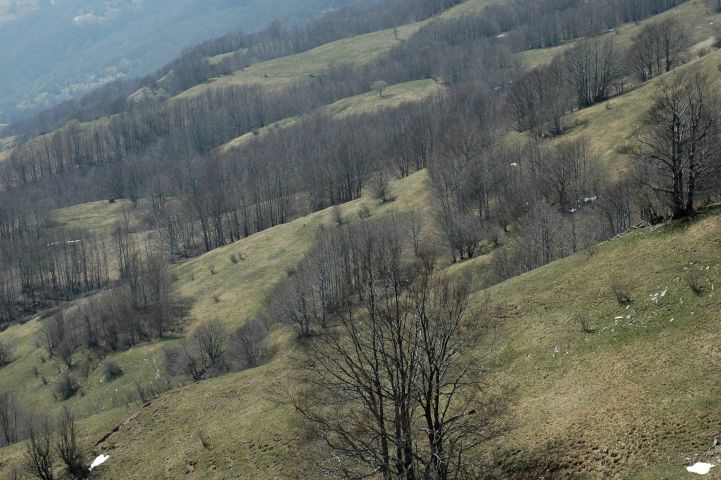 Van Campannette di Pej naar Torriglia