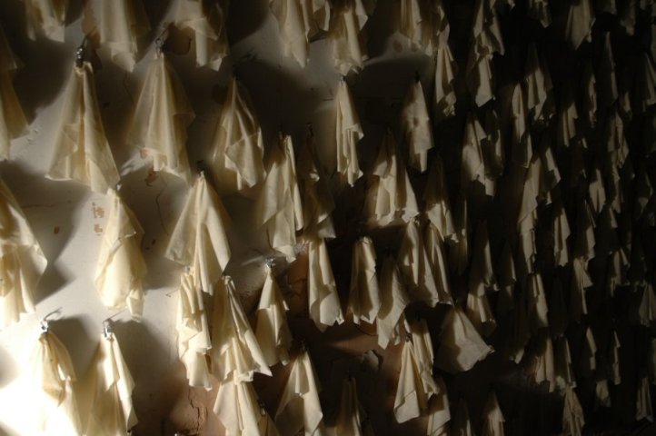 Tentoonstelling: Insomnia