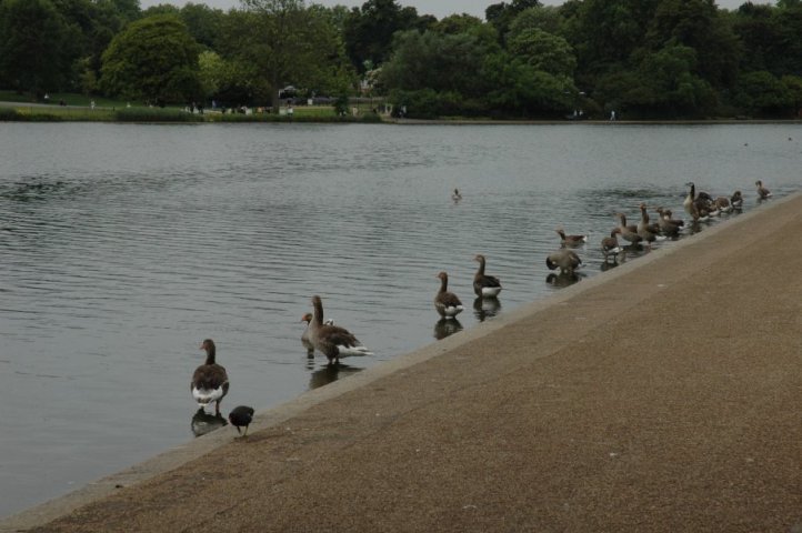 Hyde Park