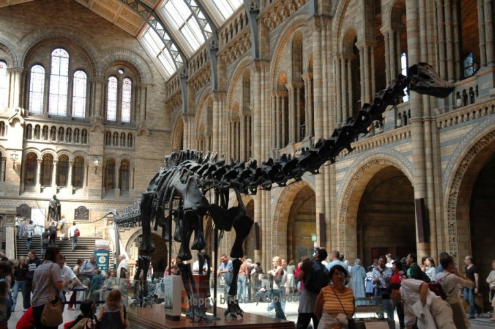 Natural History museum