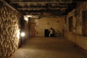 Tentoonstelling: Insomnia