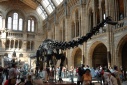 Natural History museum