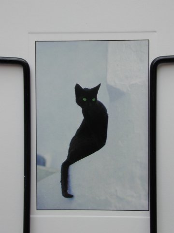 Gordes: prentkaart met kat