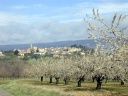 Villars