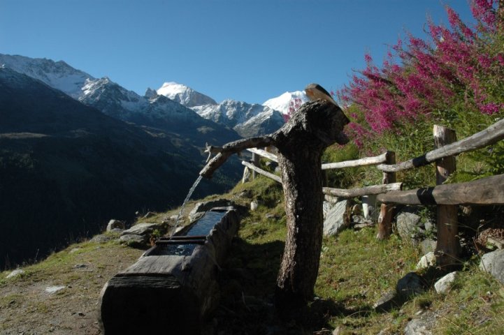 Gruben/Meiden