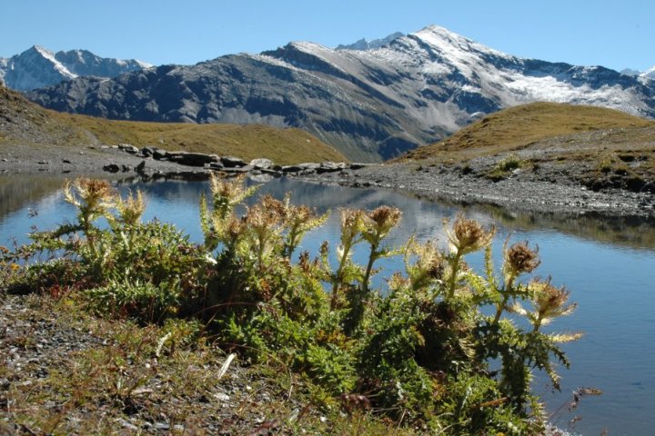Onderweg naar Col de Torrent
