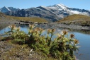 Onderweg naar Col de Torrent