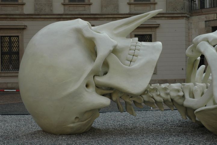 Skelet van Gino de Dominicis