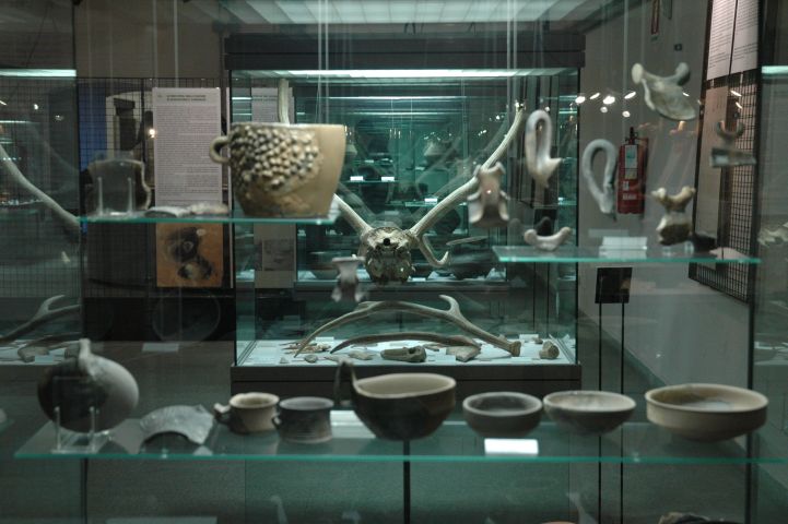 Castello Sforzesco: Museo della Preistoria