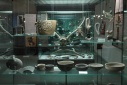 Castello Sforzesco: Museo della Preistoria