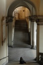 Brera
