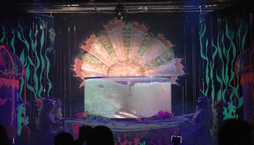 Show in de Yar