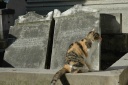 P�re Lachaise
