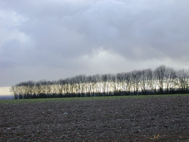 Pihen les Guines