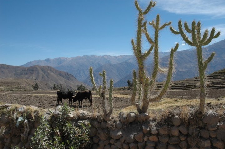 Landschap nabij Cabanaconde