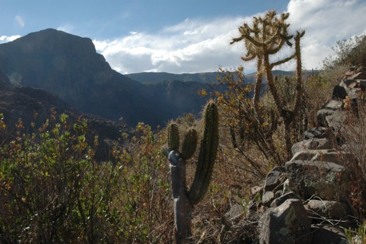 Tussen Canocota en La Calera