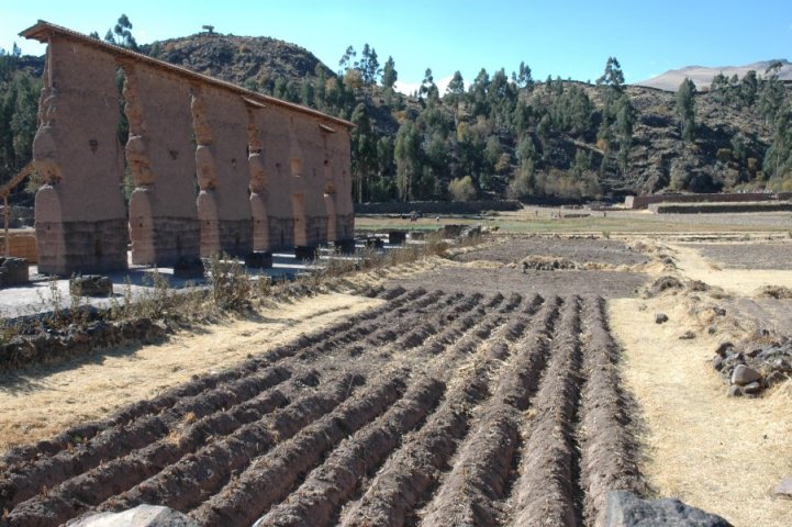 Site van Raqchi